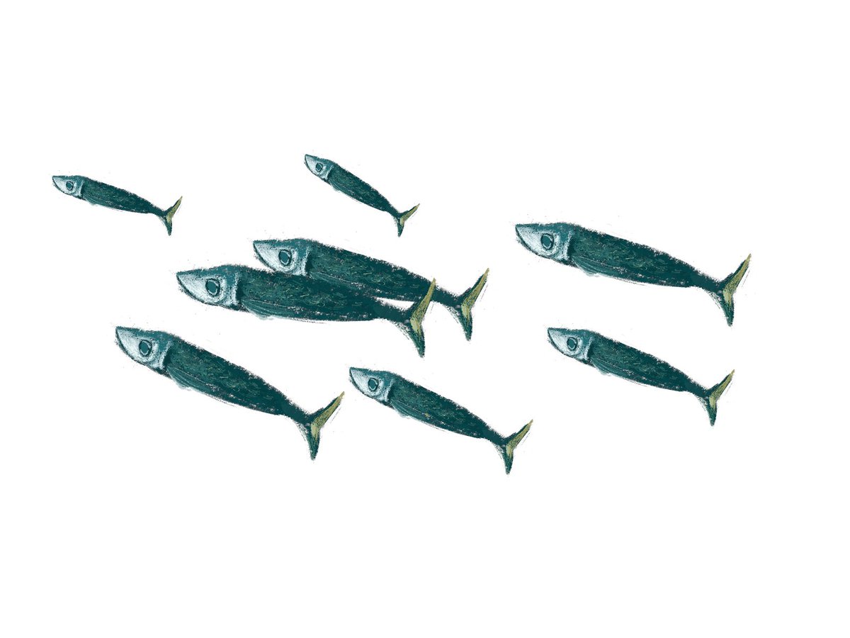 LensaladaInk's tweet photo. Fishy design for a fishy game https://t.co/O94SpiWQSS