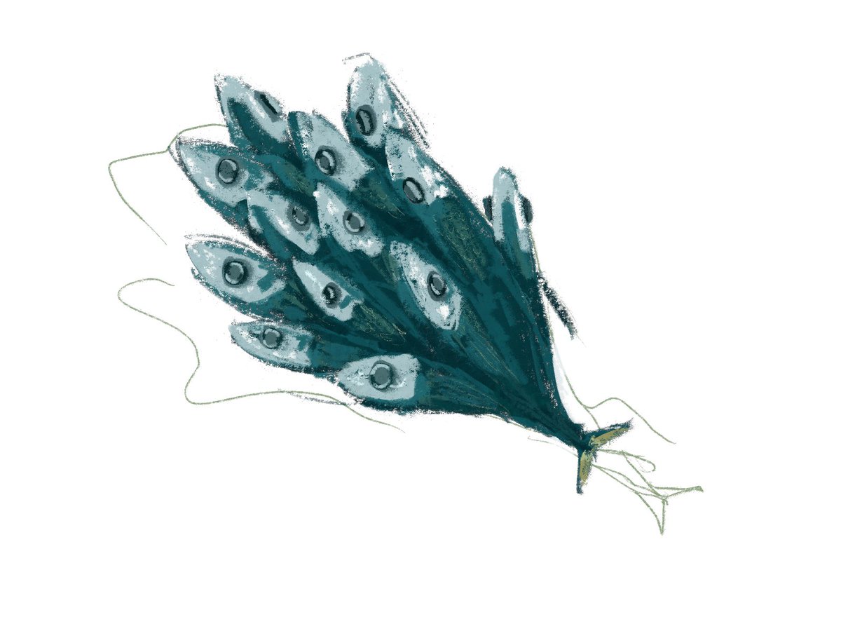 LensaladaInk's tweet photo. Fishy design for a fishy game https://t.co/O94SpiWQSS