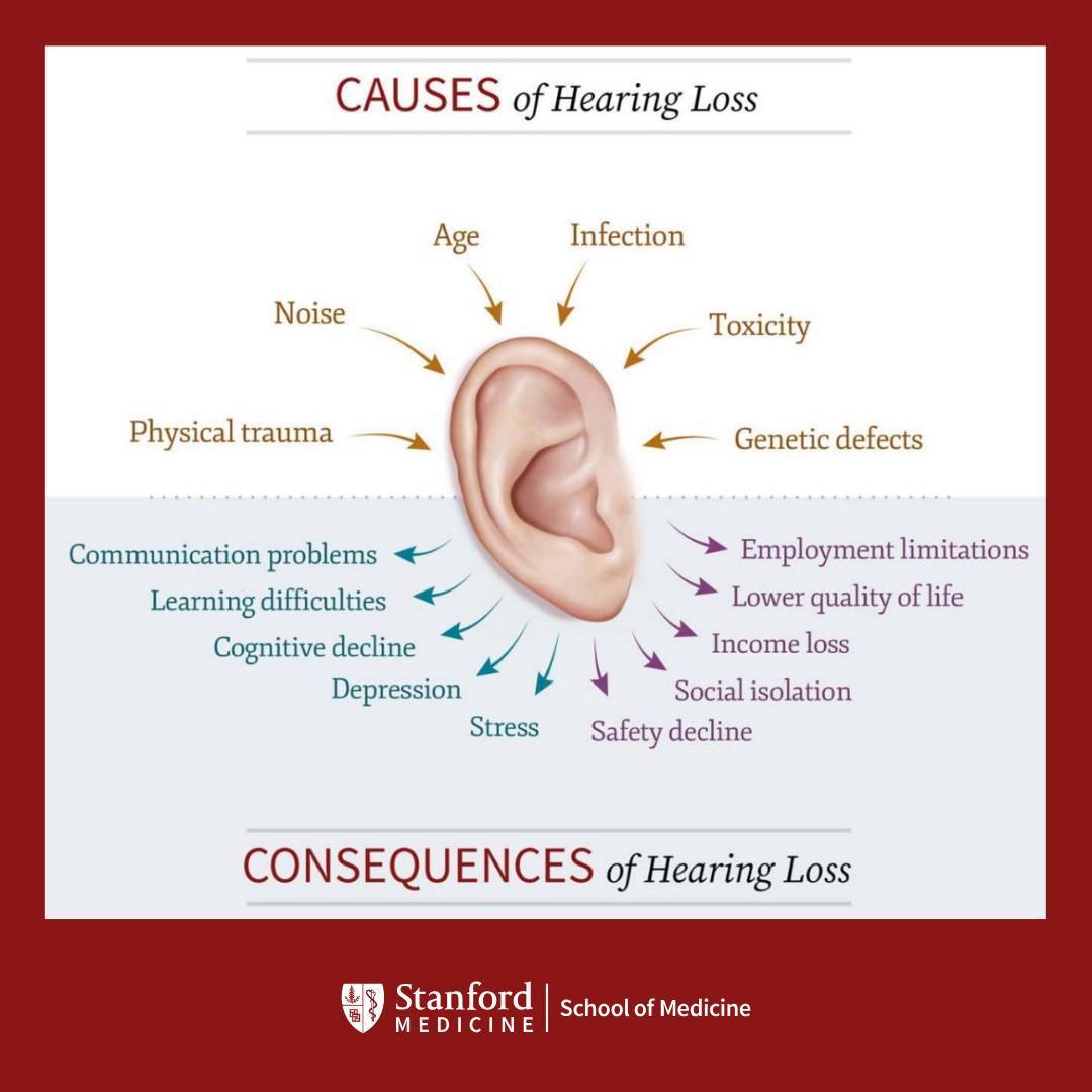 Stanford Initiative to Cure Hearing Loss tweet media