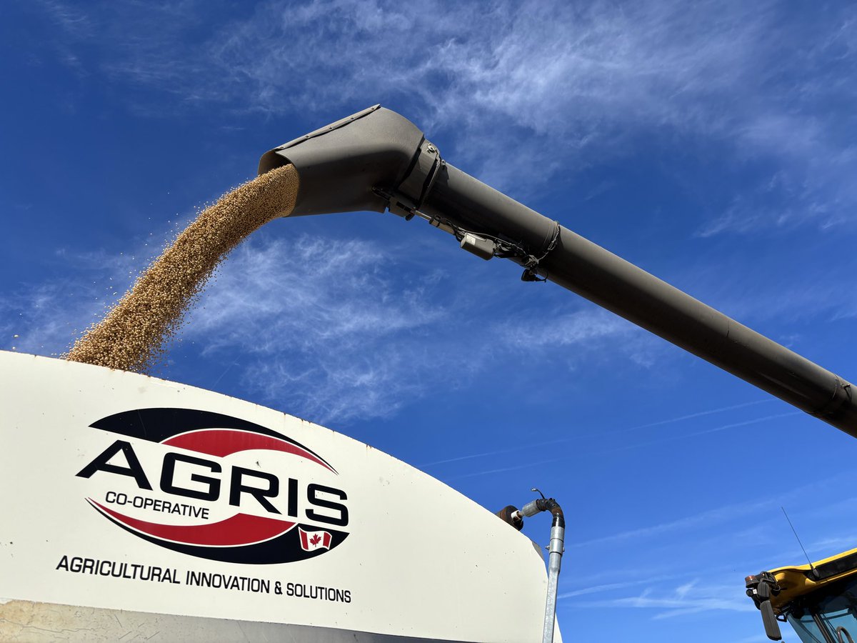 A fantastic afternoon to harvest some really great Dekalb XtendFlex soybeans.  Thank you <a href="/JohnNooyen1/">John Nooyen</a> and <a href="/TylerSabelli/">Tyler Sabelli</a>