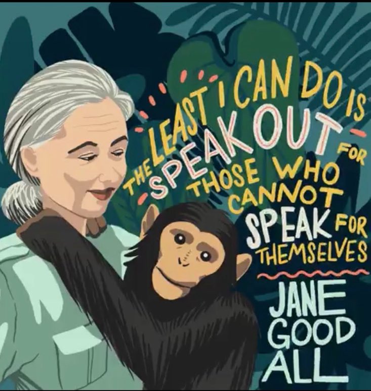 ankahaja's tweet photo. Thank you for charing your kindness, wisdom and fighting spirit with the world 💙 @JaneGoodallInst https://t.co/Ttx6mkAKQF