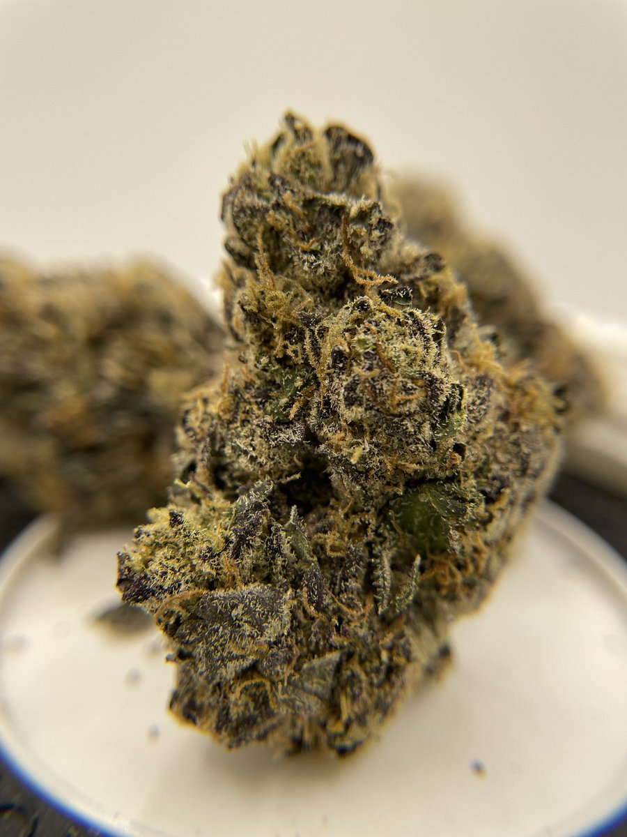 Ganjapreneur tweet media