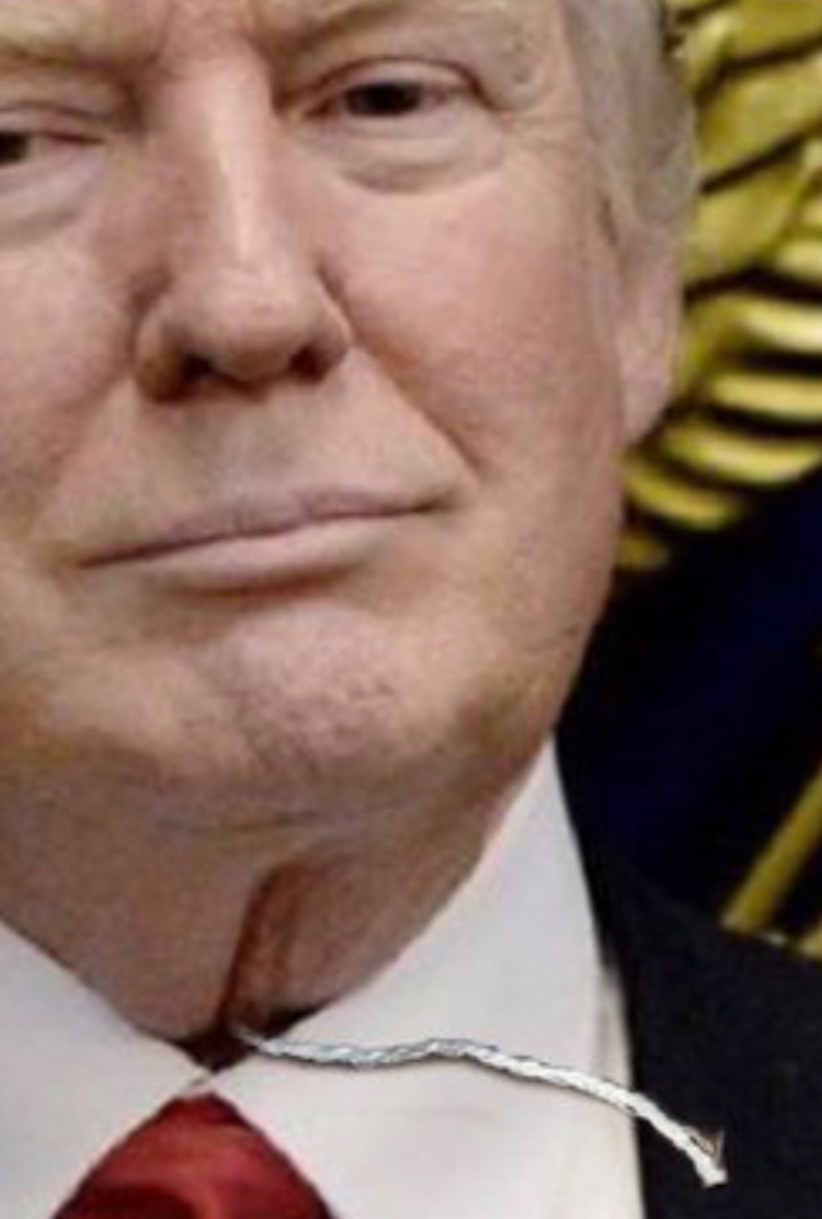 IsThisMykOn's tweet photo. @SchabergLee TamponTrump!🤣
#Fupah. #Neckgina! #Foopah
#TamponTrump 🤣 https://t.co/B8C3dOcl2G