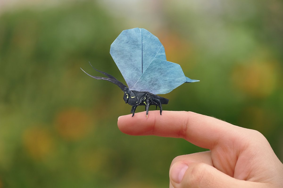 Butterfly designed by Syn (3 sheets). Folded by myself in a shadow thai for the wings and sandwich for body and antennae. 

#origami #origamisyn #nicolasterryorigami #shadowthai