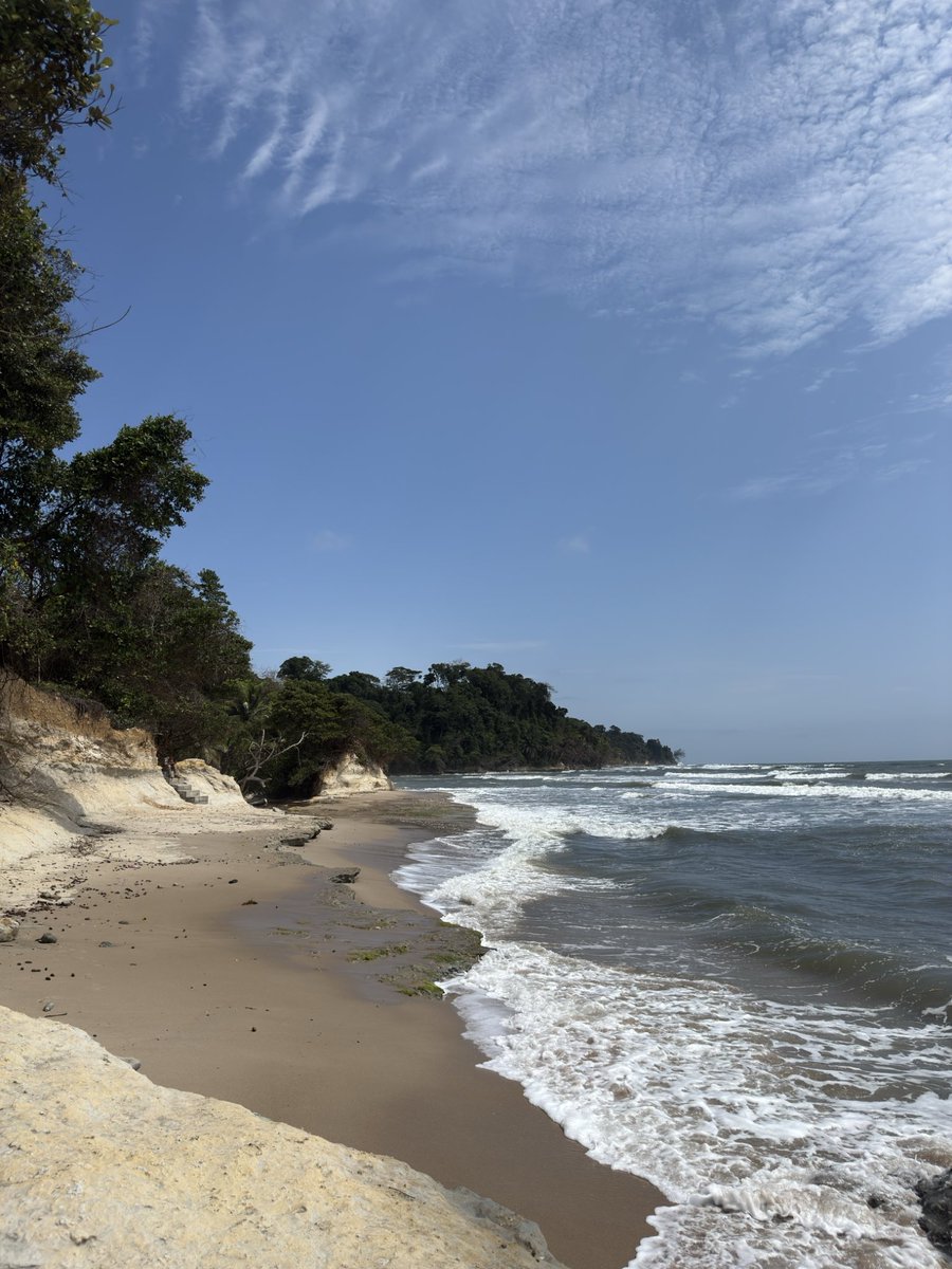 mtquerid's tweet image. tem dessas