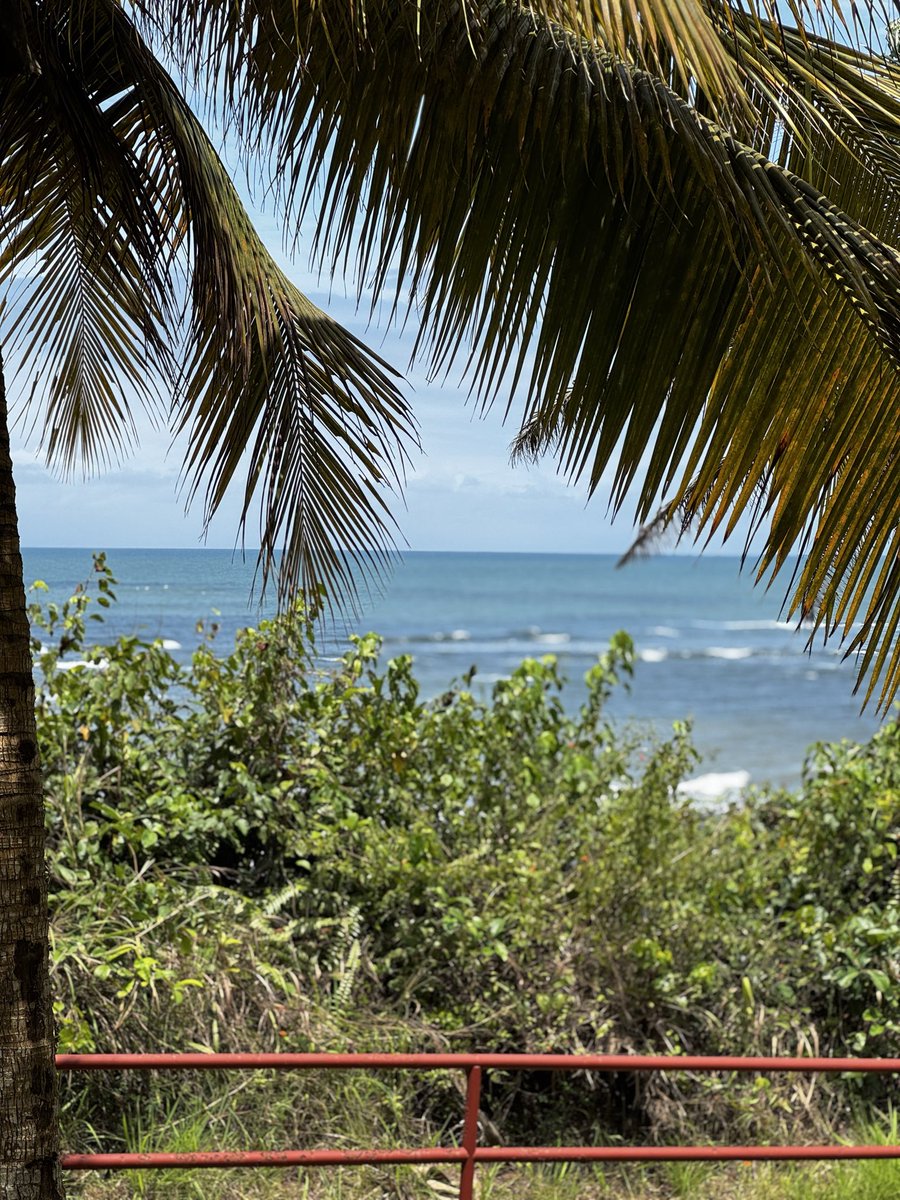 mtquerid's tweet image. tem dessas