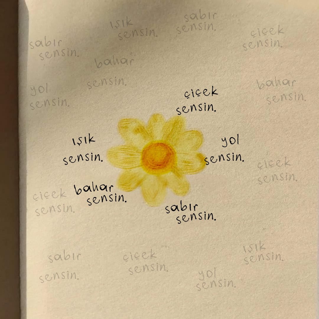 sansurszpr0fiI's tweet photo. sensin. https://t.co/sRFQRNcTnF