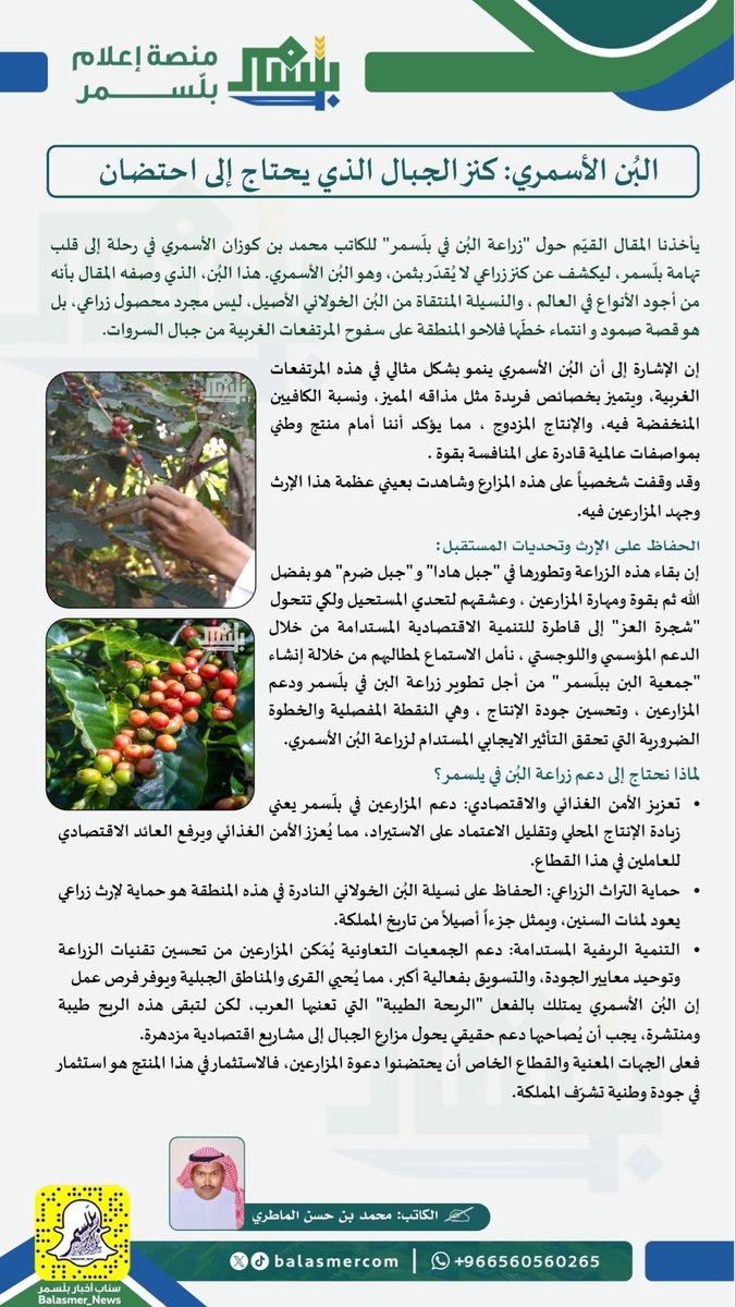 #مقال|
" البُن الأسمري: كنز الجبال الذي يحتاج إلى احتضان "
🖊️ محمد بن حسن الماطري 

#اليوم_العالمي_للقهوة 
#منصة_إعلام_بلّسمر