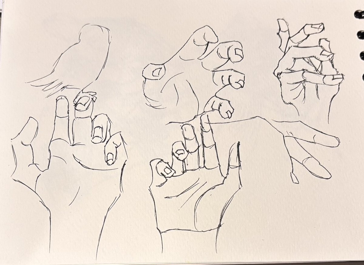 lostmy_sketches's tweet image. Práctica de manos 1/30 02/10/2025 #sketchbook #sketchbookvirtual