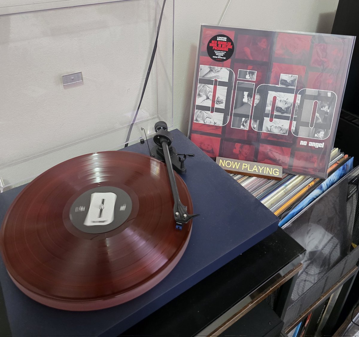 josespears87's tweet photo. DIDO - "No Angel" 25th Anniversary Limited Edition Vinyl #vinyl #vinylrecords https://t.co/8IogvBK1eF