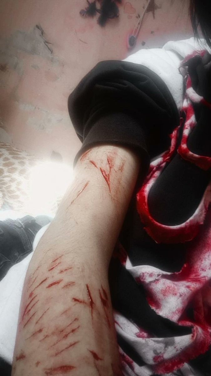 Murci3laguit0's tweet photo. #shtwt #sh #styrio https://t.co/1yVAeeufoX
