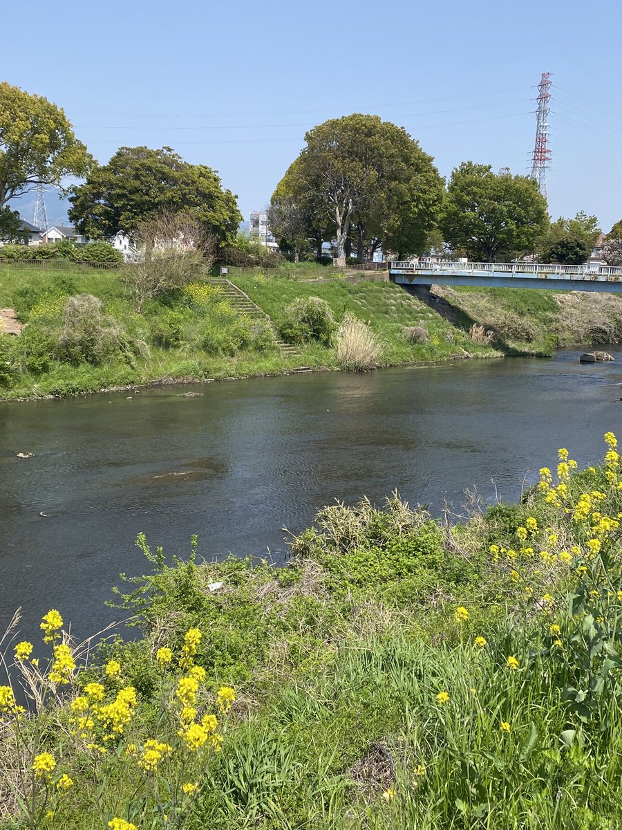 昨日は会社帰りに平塚駅から総合公園２周３５分ｊｏｇ。久々に走れています😅