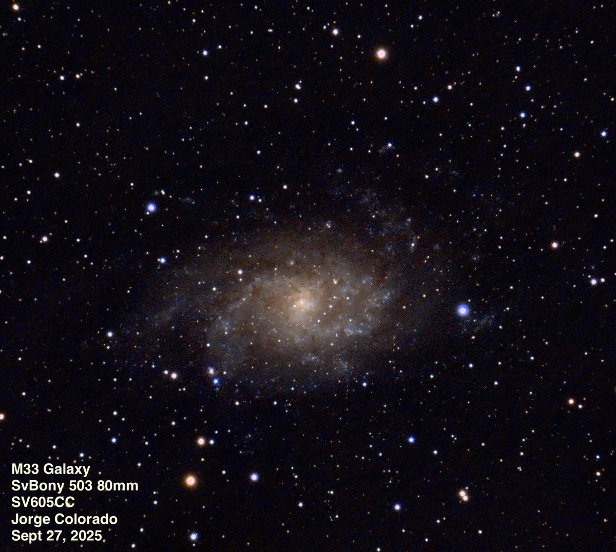 antroastronomo's tweet photo. Después de varias semanas con problemas  (mal clima y montura del telescopio) por fin logré una fotografía decente con la cámara SvBony SV605CC, aquí  la galaxia M33 en Triangulum. Usé un telescopio Sv503 de 80mm.
¡Pronto video en mi canal YouTube! @SVBONYsvbony https://t.co/RbhHNmE0v7
