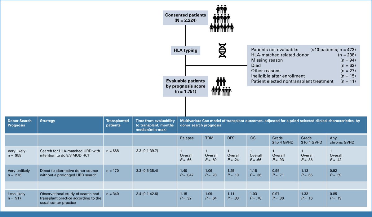 Nico Gagelmann (@nicogagelmann) on Twitter photo When a matched donor isn’t available, moving quickly to an alternative donor achieves similar outcome, thanks to advances like post-transplant cyclophosphamide, showing that time to transplant can matter as much as HLA matching.
Out in <a href="/JCO_ASCO/">Journal of Clinical Oncology</a> 
ascopubs.org/doi/10.1200/JC… When a matched donor isn’t available, moving quickly to an alternative donor achieves similar outcome, thanks to advances like post-transplant cyclophosphamide, showing that time to transplant can matter as much as HLA matching.
Out in <a href="/JCO_ASCO/">Journal of Clinical Oncology</a> 
ascopubs.org/doi/10.1200/JC…