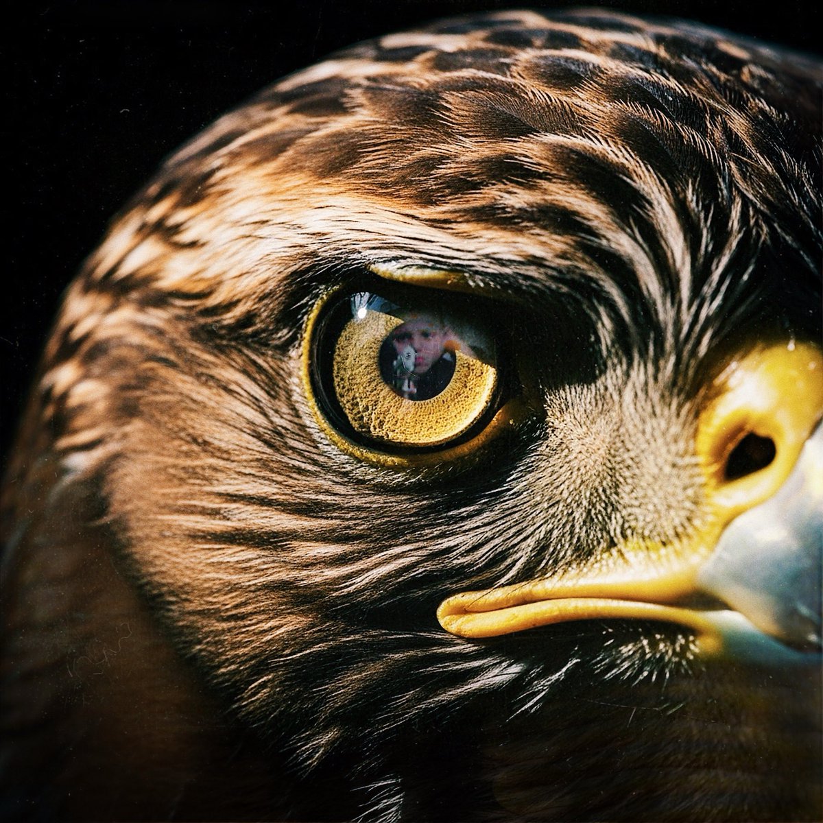 RedKeys Music UK tweet media