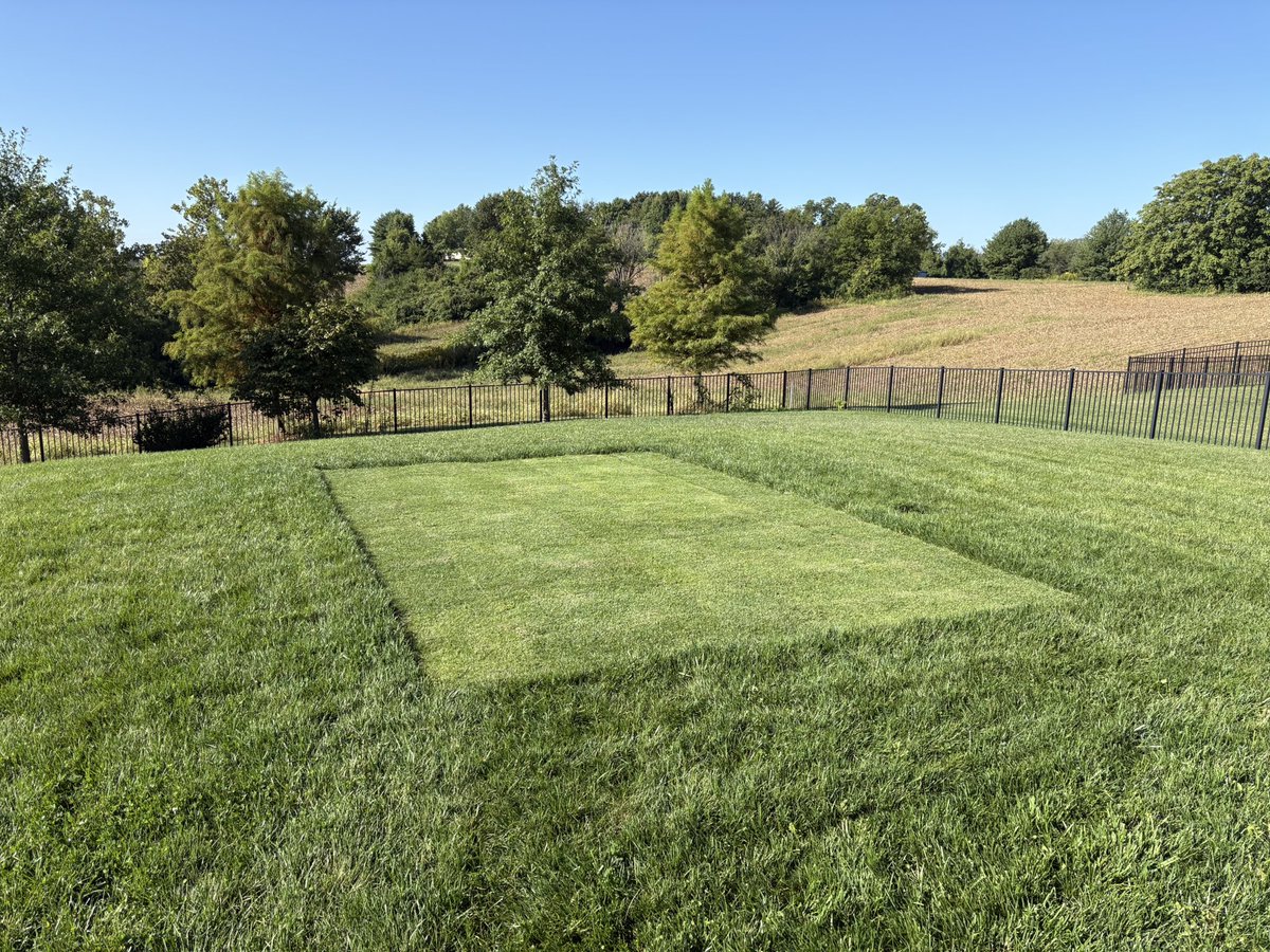 Backyard tee box looking very nice! ⛳️