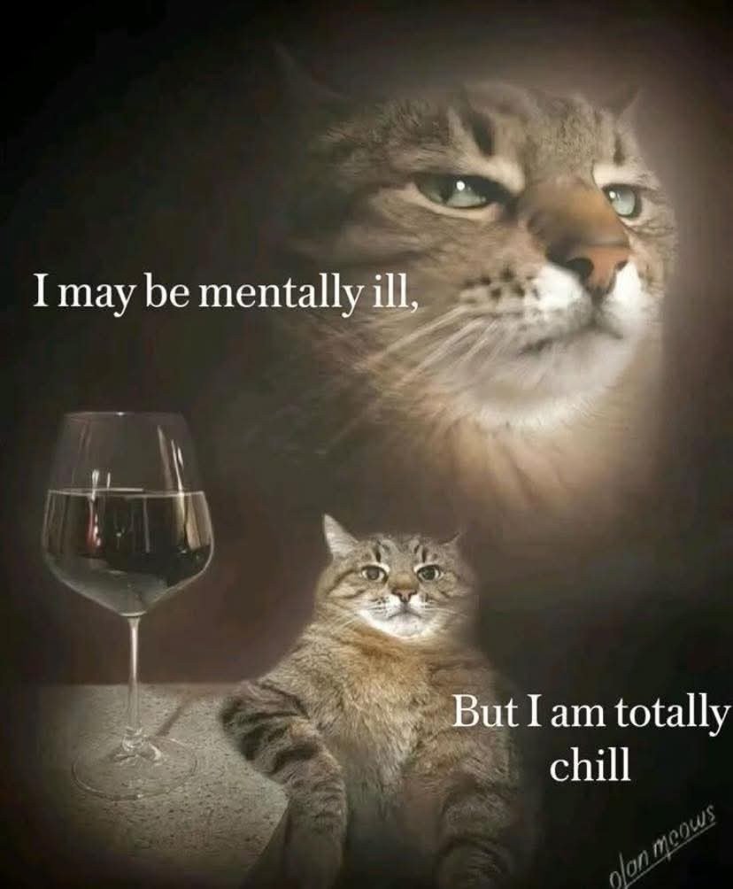 ArjunCsgo's tweet image. Cat with bi polar disorder