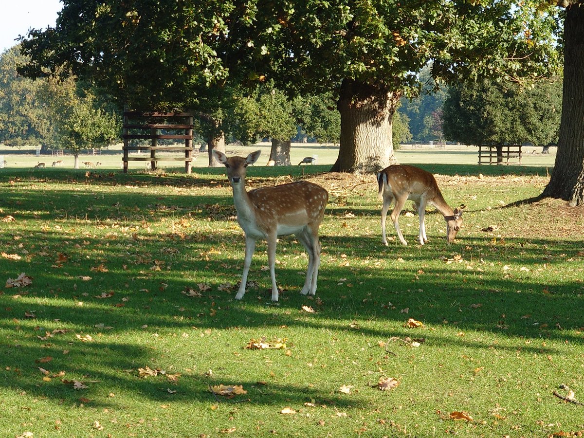 Rachel Miller tweet media