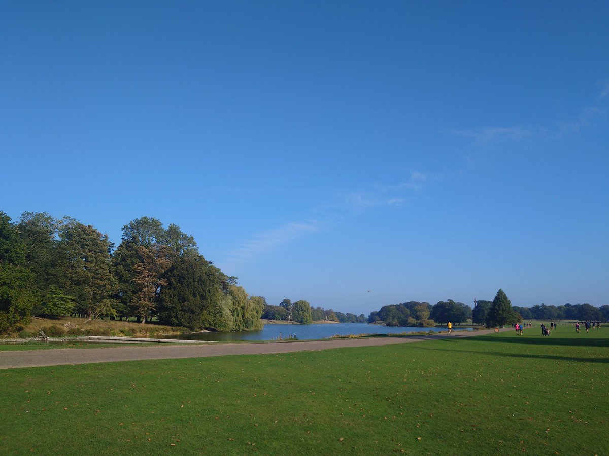 Rachel Miller tweet media