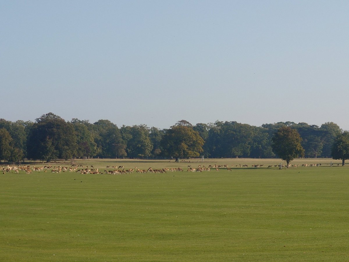 Rachel Miller tweet media