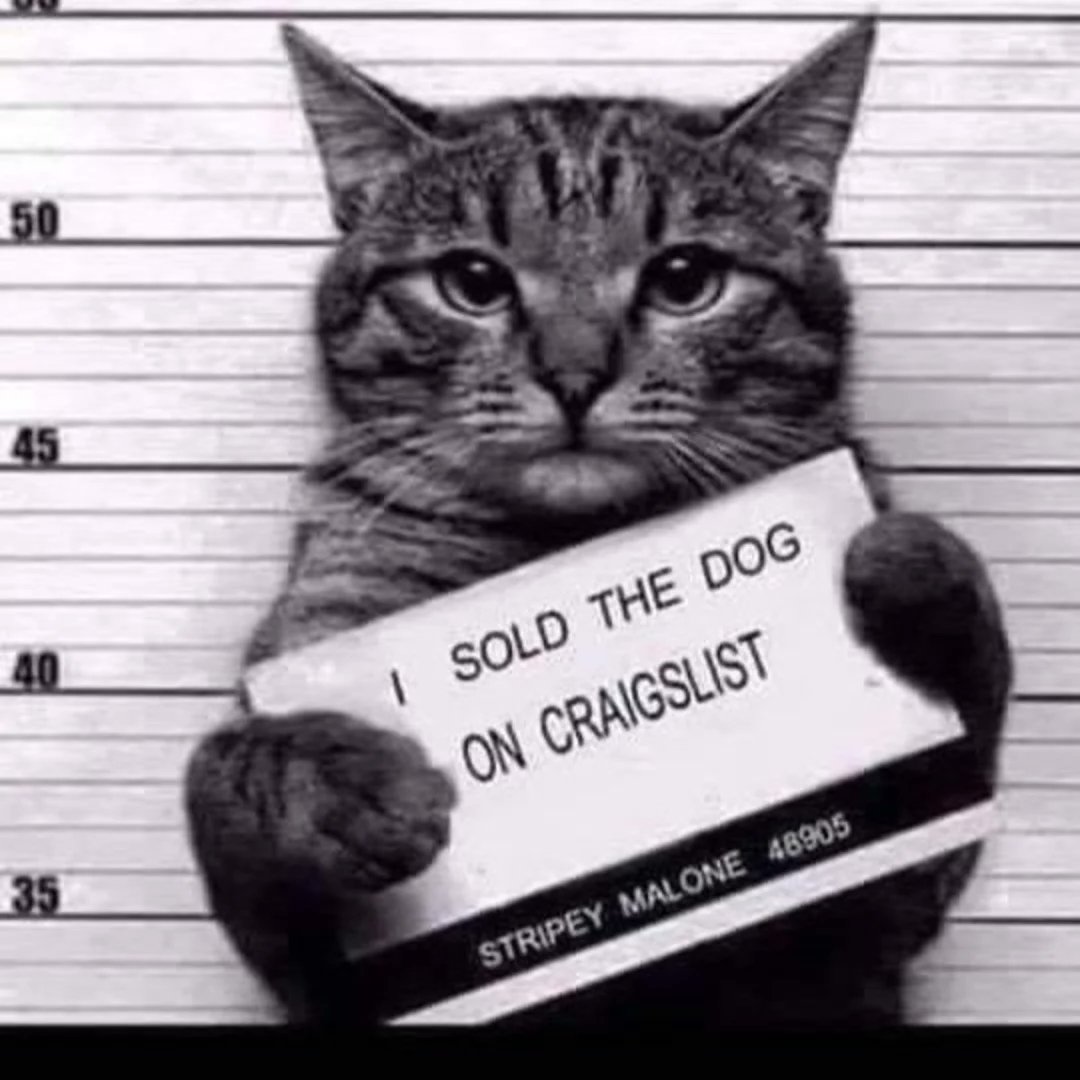 LAnDo NIFFIRG™️🇨🇦 tweet media