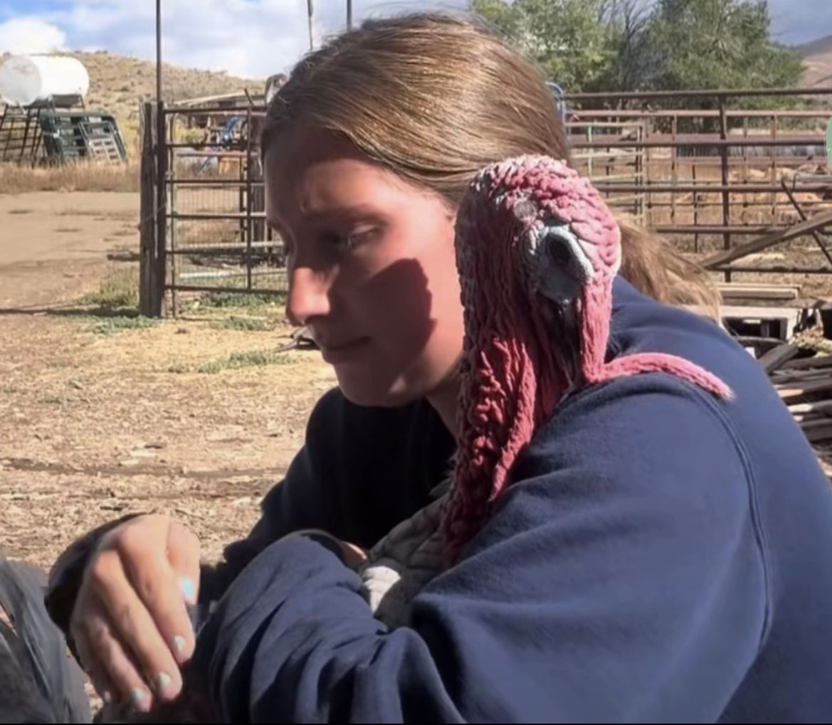 Hannah Crouch tweet media