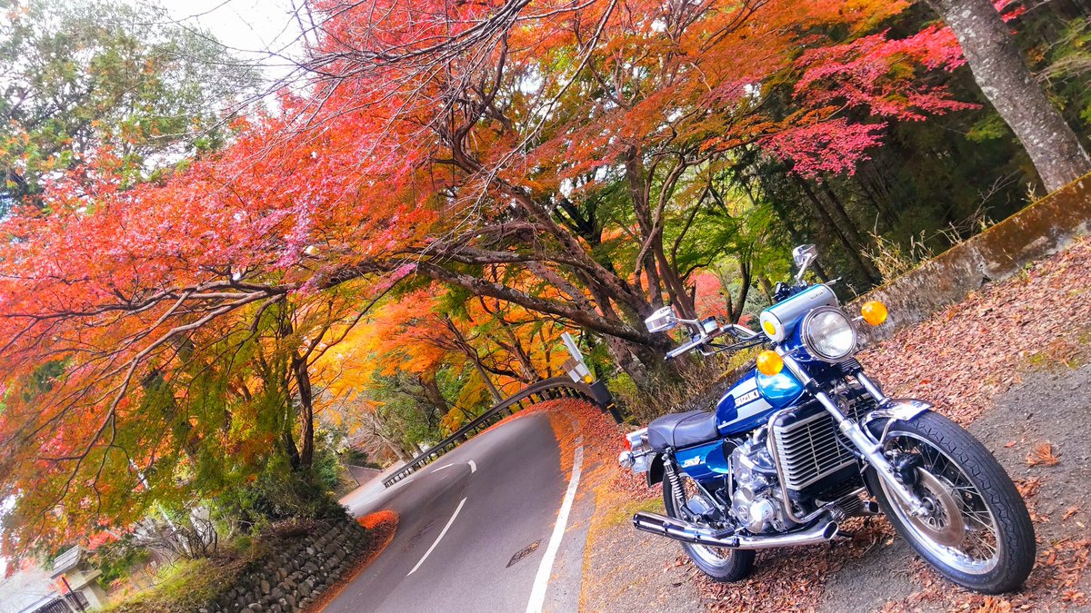懐かしの去年の写真で秋色満喫🍁✨️
#ヤンマシ写真部
#秋色マシン