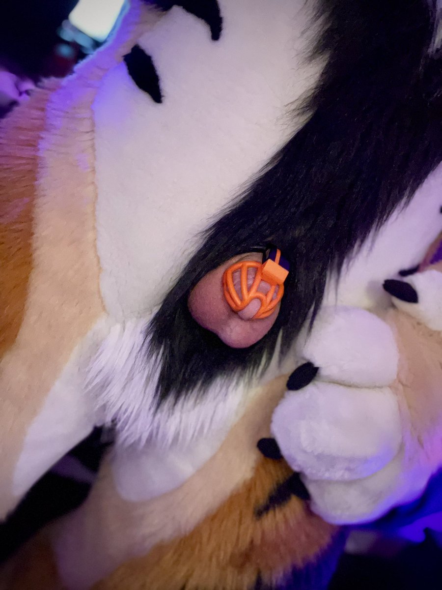 🐯🔒Locktober Cage Challenge🔒🐯

❤️=+1m
RT=+5m
$1=+5m
$5(or OF sub)=+30m
$25=+5h
$50= +12h
$75=+1d
$100=+3d
$300=+2wks👀

Add 1 day+ to access a daily cage check channel 🗒️ 

cash.app/$TyggzTiger
onlyfans.com/softtyggz

You have 48 hrs
Do your worst🔒👀
#Chastity #Locktober