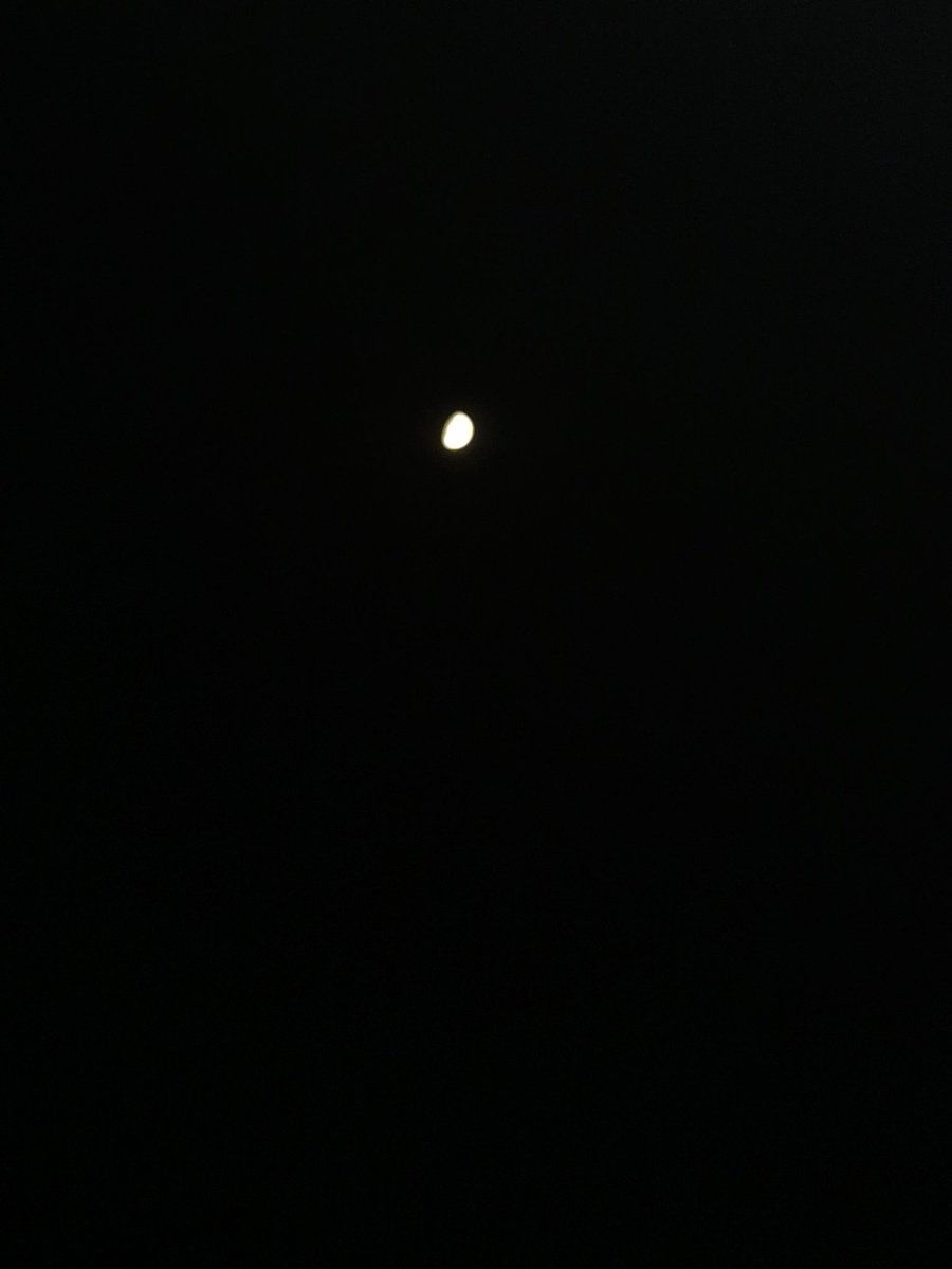 Bbaleghi79 tweet media