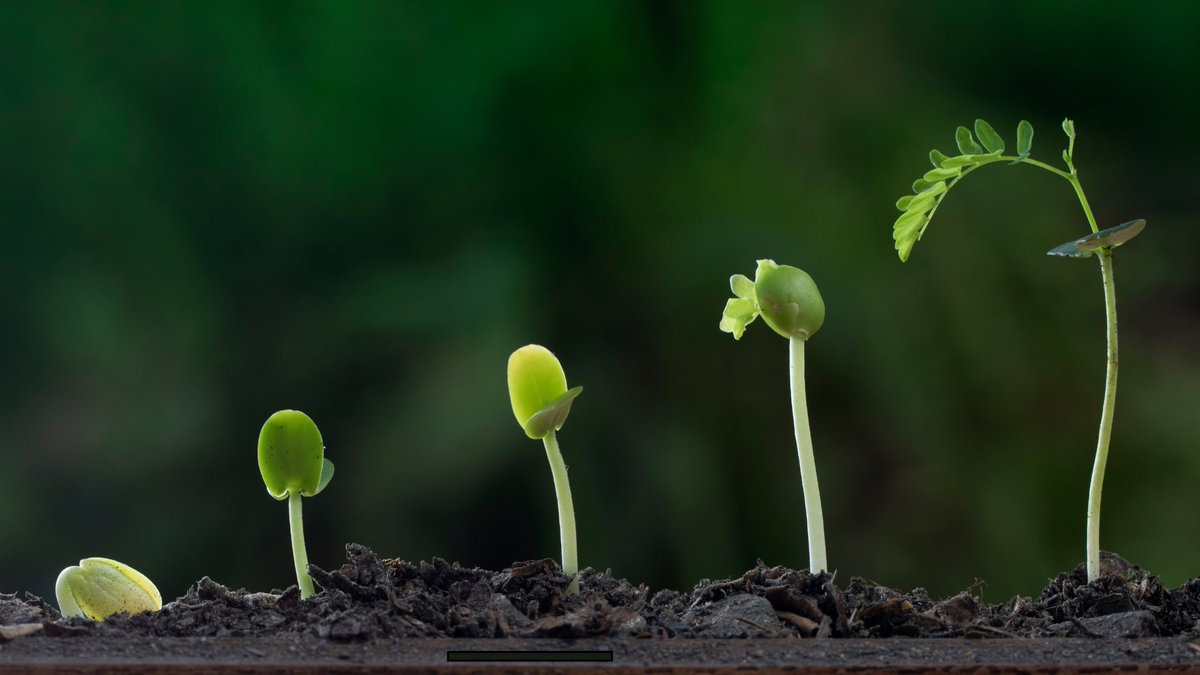 A new article has been released in the Network's Connect Journal:  "Small is Good.  Small is All."  connectjournalorg.wordpress.com