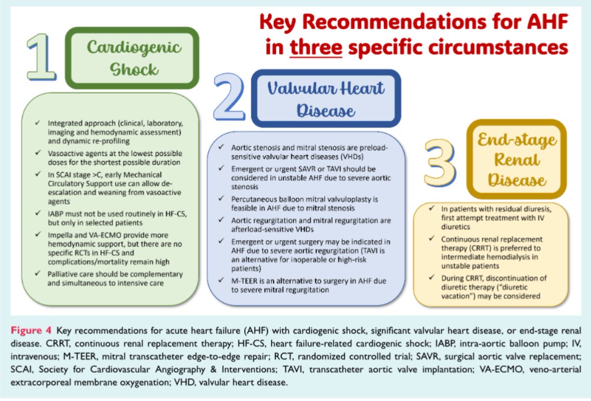 EJHF Editor-in-Chief tweet media