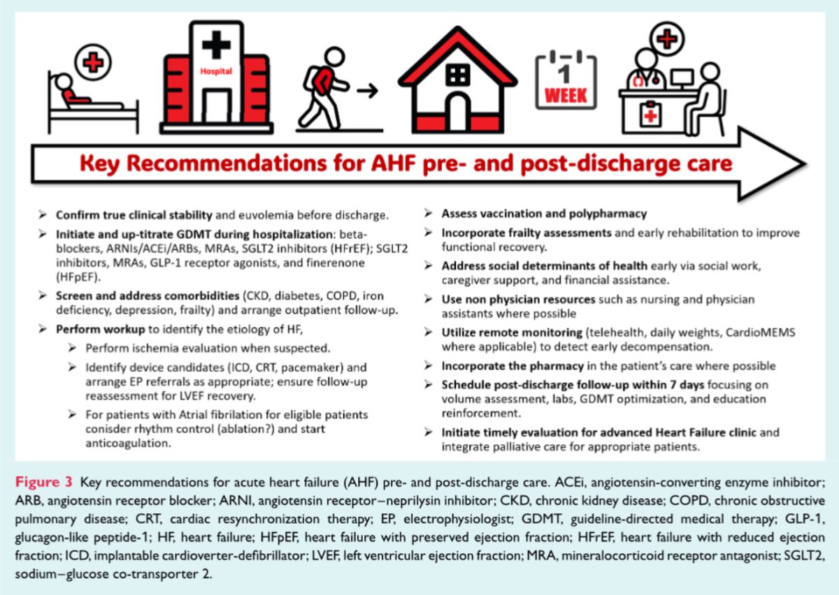 EJHF Editor-in-Chief tweet media