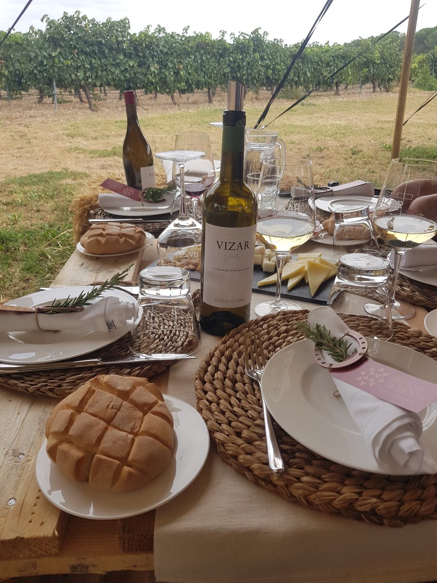 Seguimos recordando EMOexperiencias en  #Vinoinfluencers Hoy con <a href="/bodegasvizar/">bodegasvizar</a> y sus #DehesaMoments ¡Te lo cuento aquí! <a href="/CyLEsVida/">Turismo Castilla y León</a>  <a href="/DORibera/">Ribera Del Duero</a>
<a href="/wineandtwits/">#wineandtwits</a>

elblogdemarichel.wordpress.com/2025/10/02/deh…