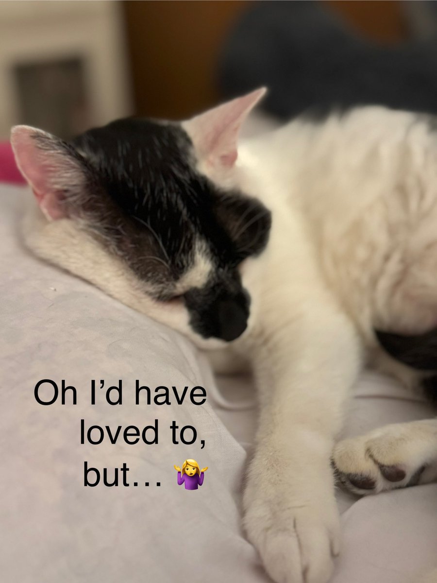 BeyondBex's tweet image. How to spot an #Introvert