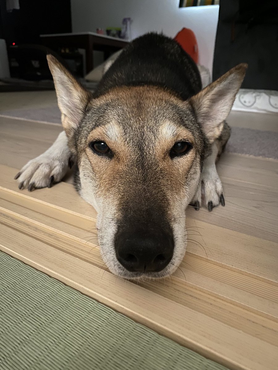 おはようございます！
金曜日です！頑張りましょう！