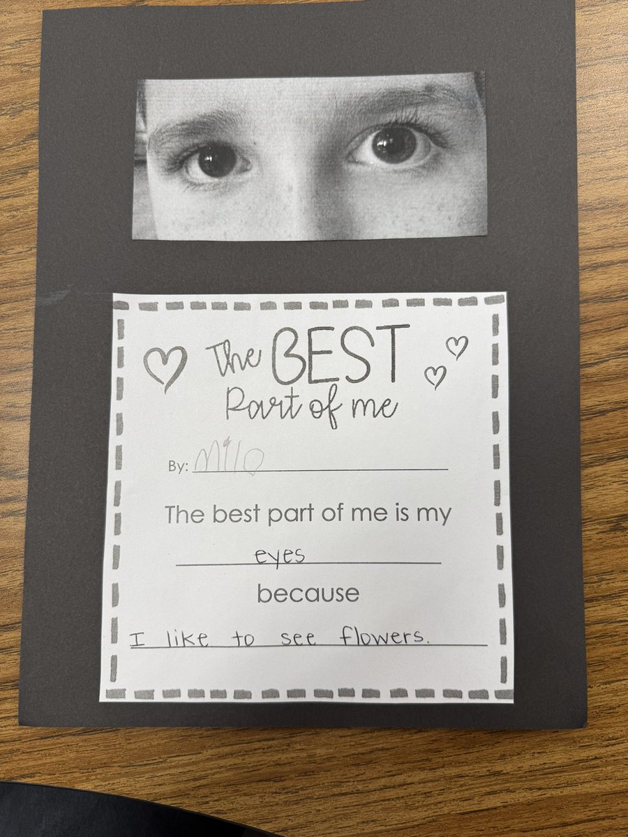 Meghan Sullivan tweet media