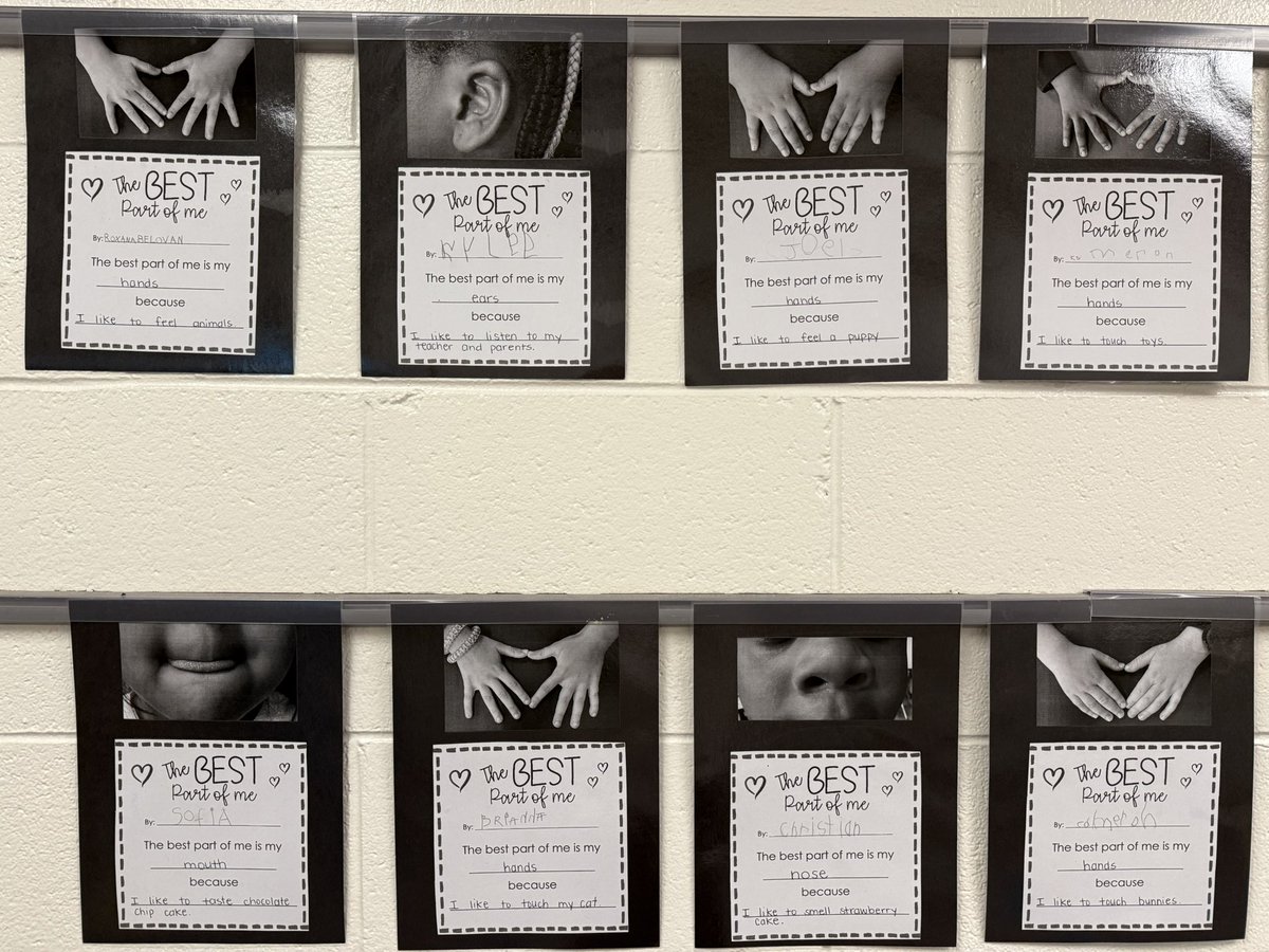 Meghan Sullivan tweet media