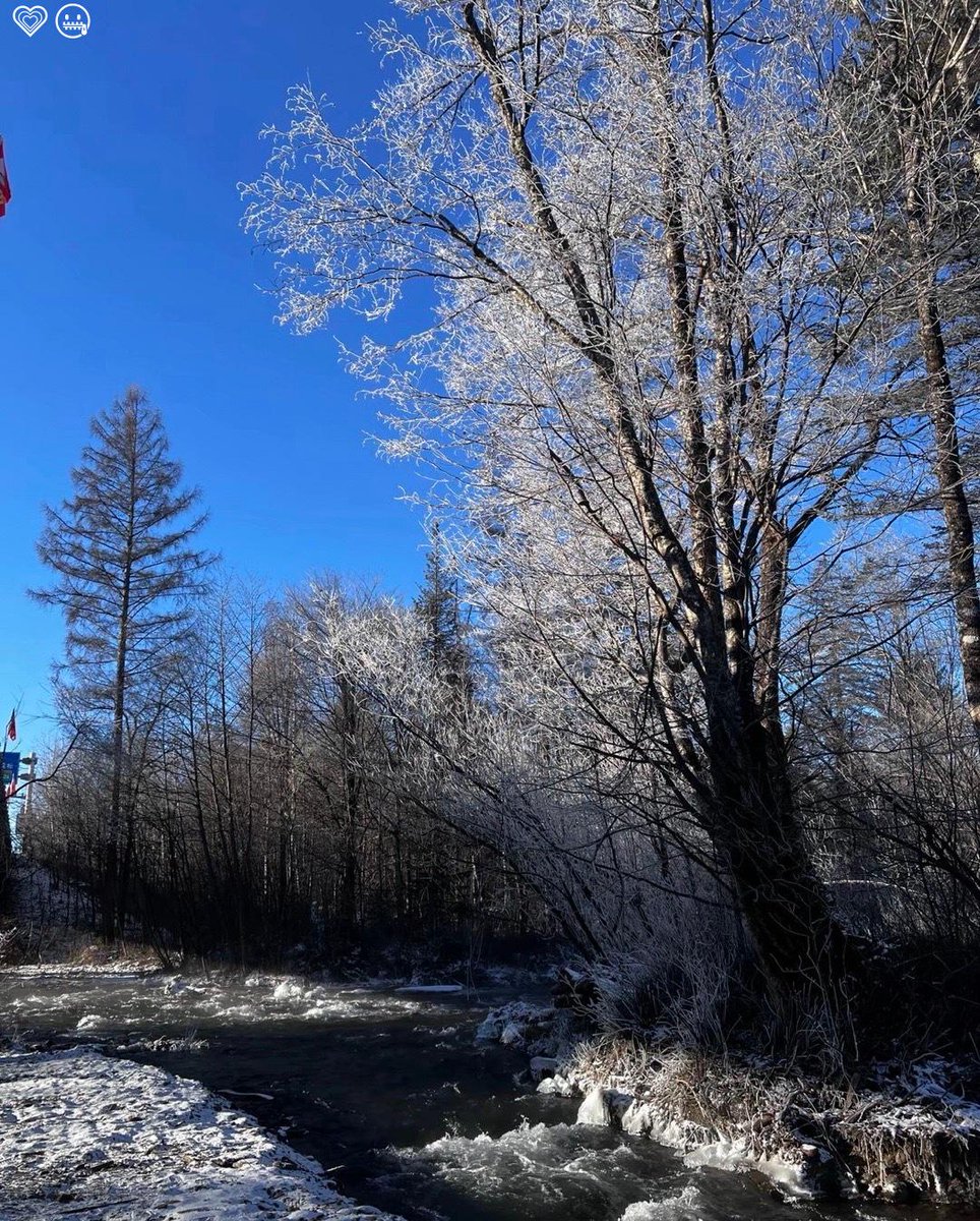 Aizen_Writing's tweet image. run world look screen morning work door power focus time chance strong🐪🤸🏆😦💾880