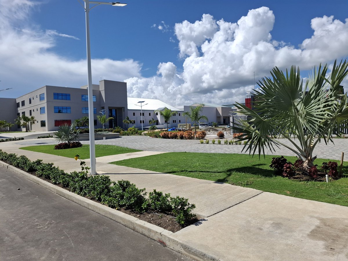 Stephen Dawkins 🇯🇲 tweet media