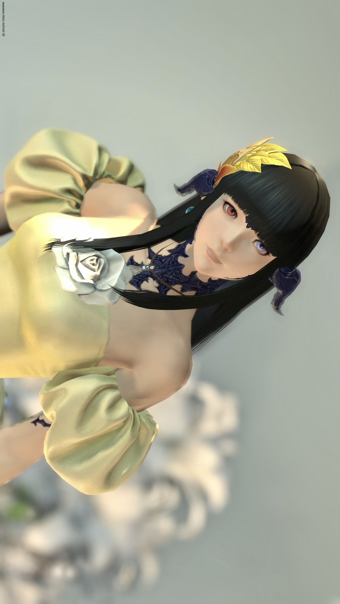 おはようございます✨
PWウェポンももう少し〜
今日は金曜日ですね！✨
今日も皆さんにとって良き日でありますように〜🍀
#SSP_FF14 #eligoya #FF14 #FF14SS #FFXIV #ffxivsnaps #アウラ #本日のアウラ #おはウラ