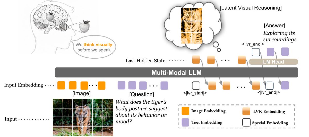 🤔 If MLLMs encode vision &amp; text in a joint space, why not reason over both?

We introduce Latent Visual Reasoning (LVR) — a new paradigm for multimodal LLMs.

- Keeps everything autoregressive

- Reconstructs query-relevant visual semantics in hidden states (like human visual