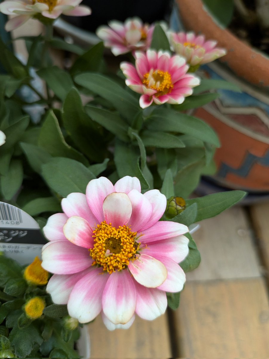 ちーちゃん (@3tQy5nQ8gE0xzcG) / Posts / X