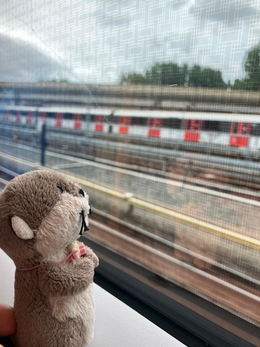 Otterchen's tweet photo. これはママに旅行に連れて行ってもらった時のわかたん。ちょくちょくわかめの写真が送られてくるのが癒し🥹💓 https://t.co/F7iLkrl3uR