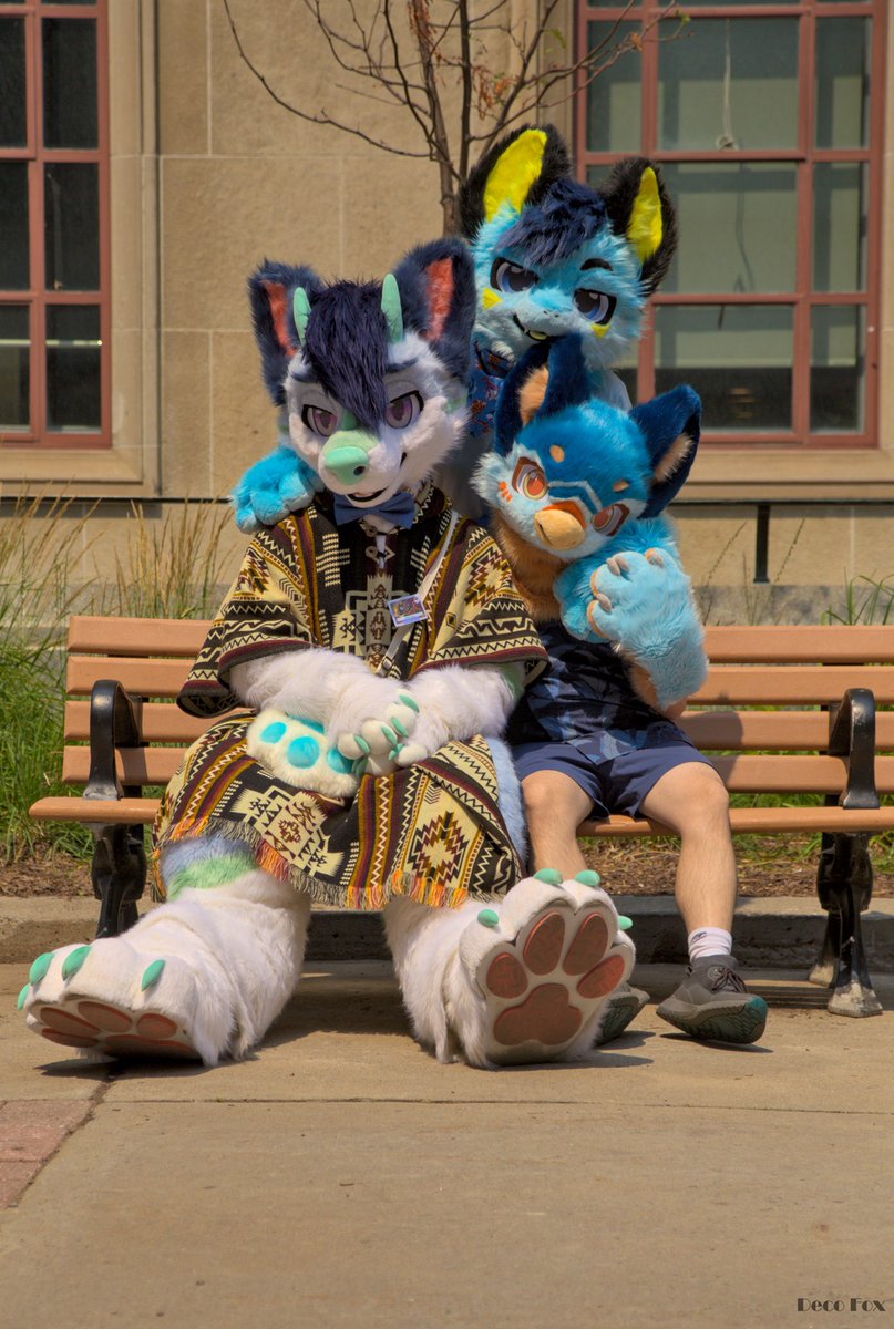 Trio of cuties :3 

<a href="/ApatiteGrey/">磷灰灰灰Grey</a> <a href="/TigerSharkSoju/">Soju 💙🦈</a> 

📸@Decofox2