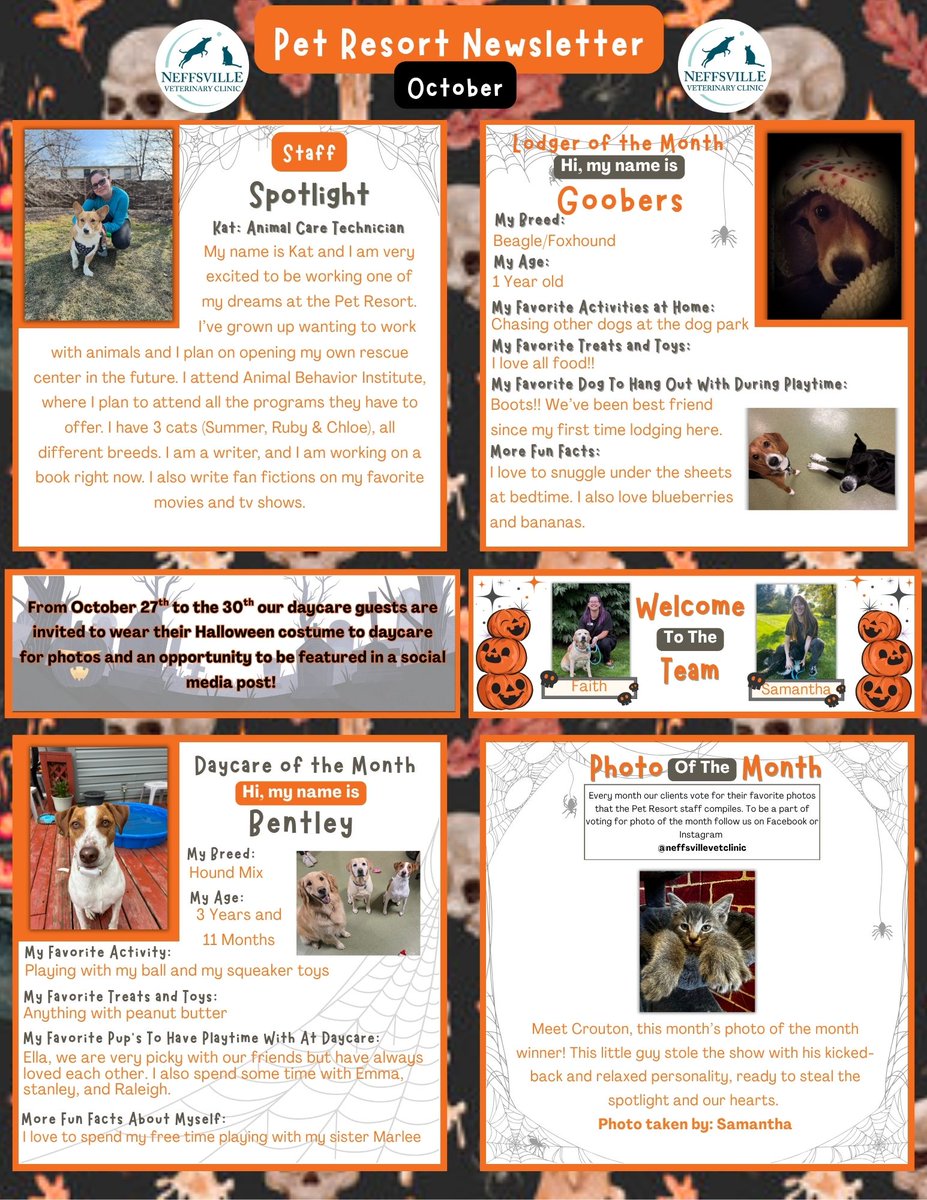 NeffsvilleVet's tweet photo. October Newsletters
https://t.co/YCxoIXz1Ez https://t.co/PXoVL4P8Lz