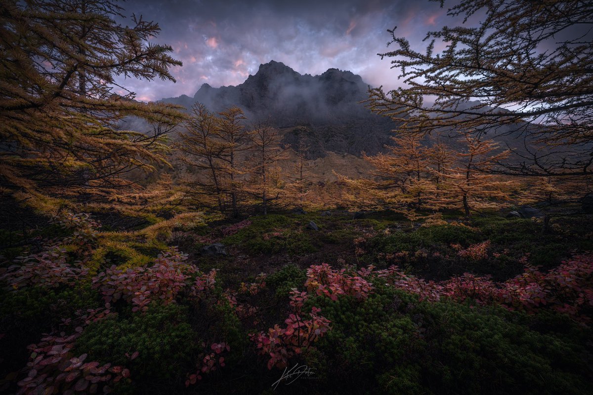 tokyocamerajp's tweet photo. 東京カメラ部Xアカウントへのdk_rem1さんの投稿作品。リポスト＆いいね！大歓迎です。
https://t.co/uOkDW7mw24
#東京カメラ部 #Photograph #Photography https://t.co/TsFe3nG7yk