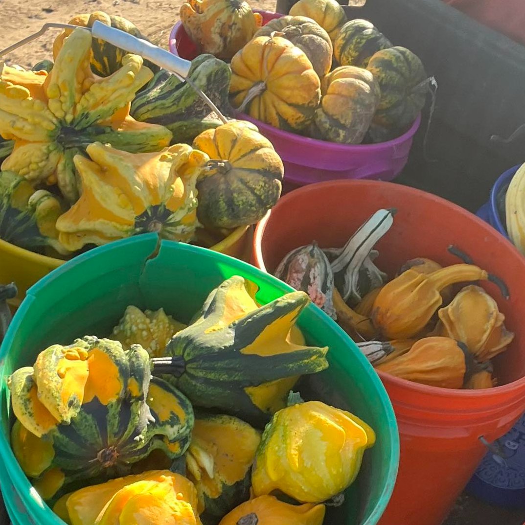 Fall color is peaking out and #ShawneeOK is ready for crisp air, pumpkin spice, and cozy adventures. 

What's the first fall activity on your Shawnee checklist? 🍁

#VisitShawnee #OklahomaFall #HelloOctober