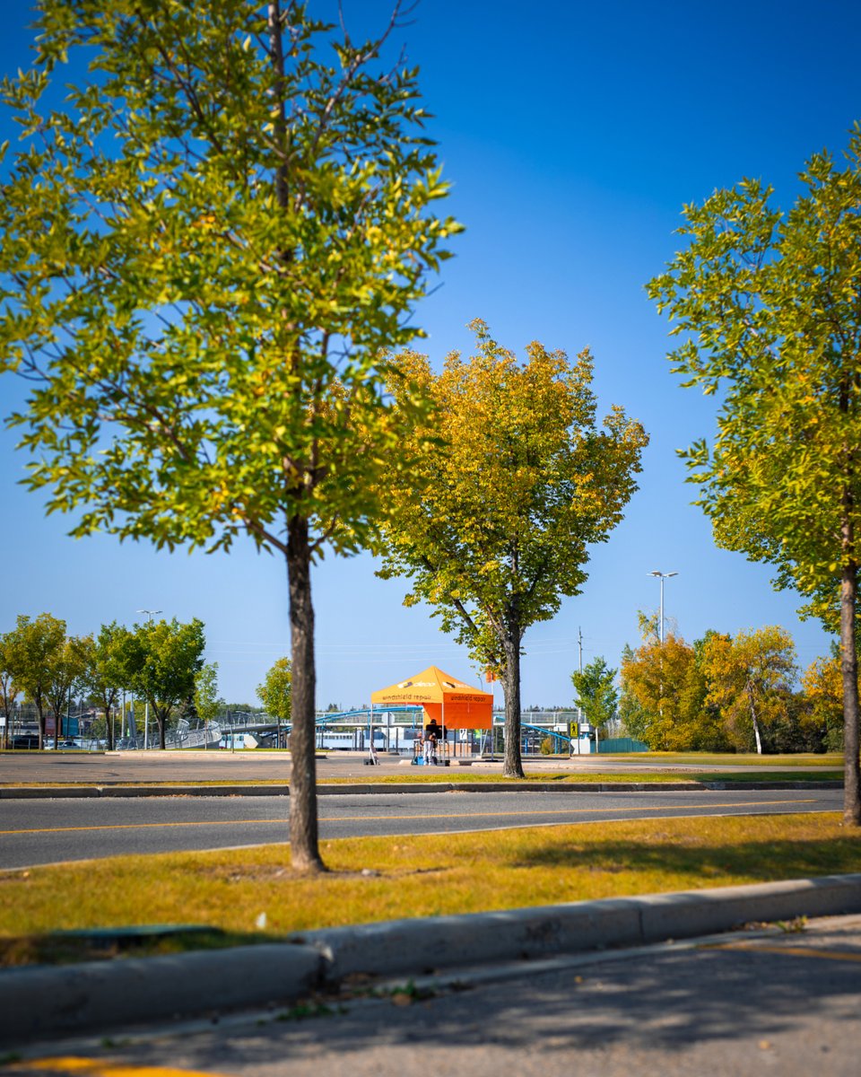 Fall colors, orange tents, clear windshields. 🍂🧡

Think Orange. Save Your Windshield.™

#ThinkOrange #FallVibes #WindshieldRepair #DecoTents #DriveSafe