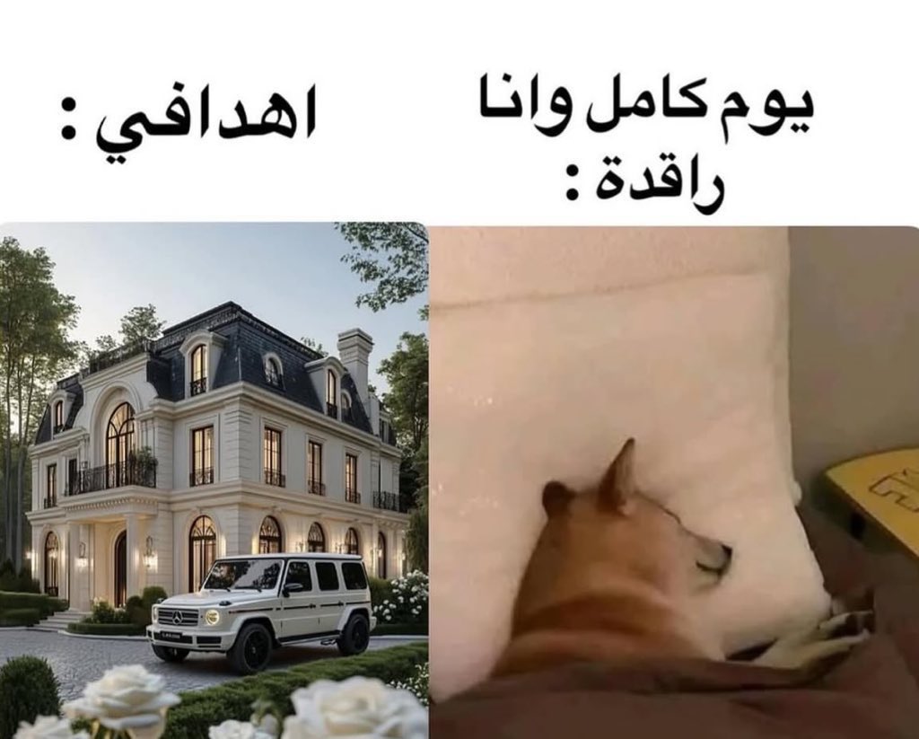 Abeer (@stop_x2) on Twitter photo 