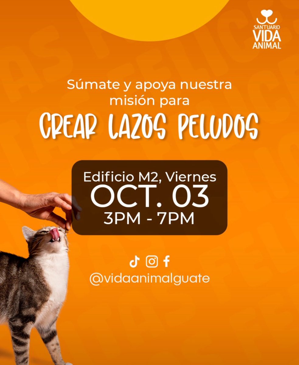 yolismiolis__'s tweet photo. ¡Ayúdennos a ayudar animalitos! 🧡🦴
Estamos recolectando comida e insumos para perritos y gatitos. 

Pueden llegar el viernes a partir de las 3 p.m. Al edificio M2 (ECC-Usac) para entregar sus colaboraciones. 
¡RT, por fis! 🔁 https://t.co/Rg3npvAzd7